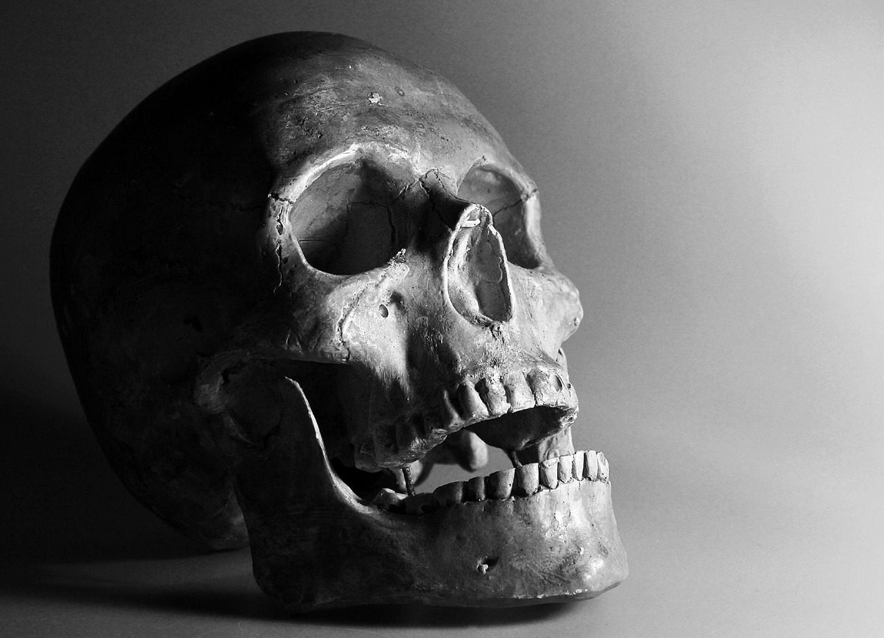 erfahren sie alles über knochendichte: bedeutung, messmethoden und tipps zur erhaltung gesunder knochen. bleiben sie informiert über risikofaktoren und prävention von osteoporose.