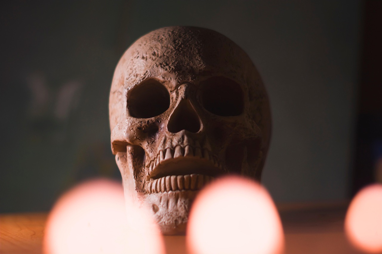 erfahren sie alles über knochendichte: bedeutung, messmethoden, risikofaktoren für knochenschwund und tipps zur stärkung ihrer knochengesundheit. informieren sie sich jetzt umfassend!