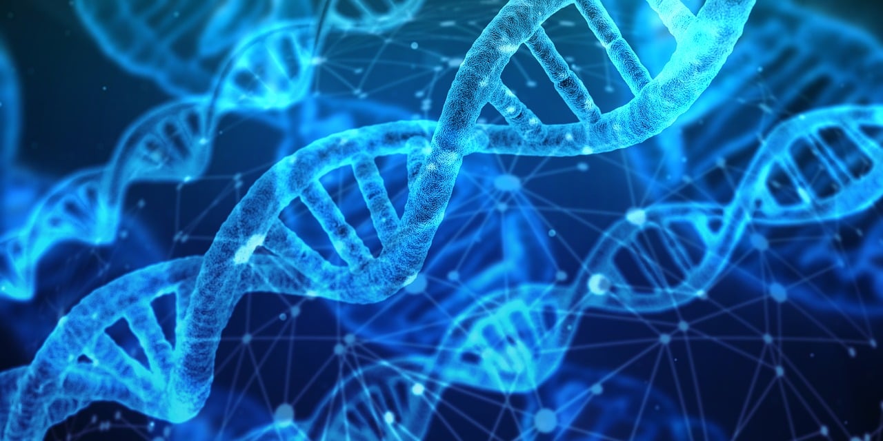 entdecken sie, wie dna-speicherung als innovative methode zur langfristigen archivierung großer datenmengen genutzt wird. erfahren sie mehr über die vorteile, anwendungen und zukunftsperspektiven dieser technologie.