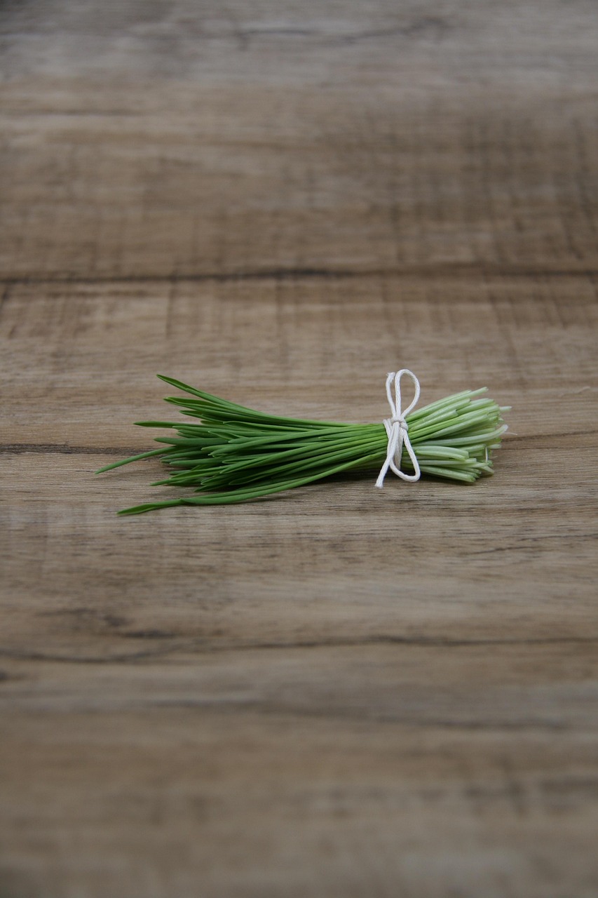 entdecken sie die welt der microgreens: kleine, nährstoffreiche pflanzen mit intensivem geschmack. erfahren sie mehr über anbau, sorten und gesundheitstipps rund um microgreens.